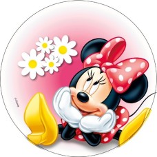 72151C Disc vafa Disney Minnie Mouse D20cm Modecor